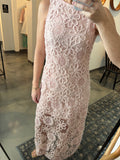 Pink Mesh Applique Dress
