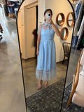 Blue Pearl Mesh Dress